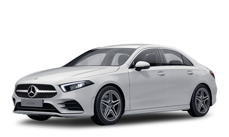 폴라 화이트 익스테리어